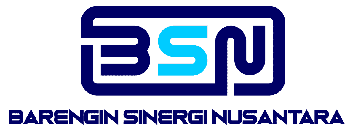 Logo BSN